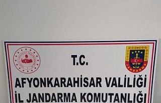 Ellerindeki tarihi sikkeleri satmak isterken jandarmaya...