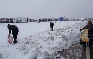 Engelli aracına binip sokak hayvanlarına mama bıraktı