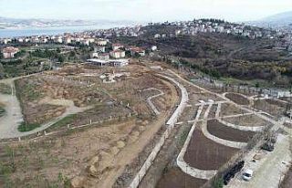 Enkaz döküm sahası yaşam alanına dönüşecek