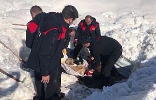 Enkazın altındaki köpek kurtarıldı