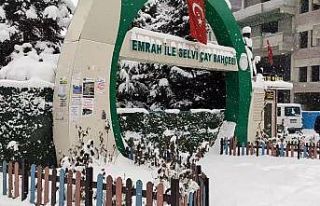 Erciş’te kar tatili