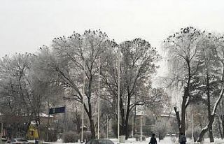 Erzincan son 40 yılın en soğuk günlerini yaşıyor