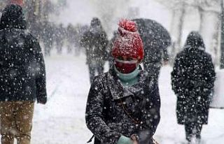Erzincan’da kar yağışı