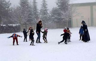 Erzincan’da okullara kar tatili