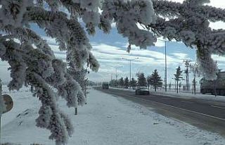 Erzurum buz kesti