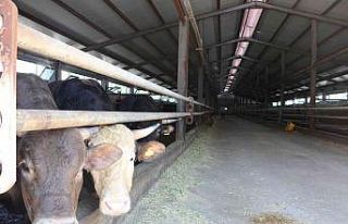 Erzurum’a 42 milyon hibe desteği