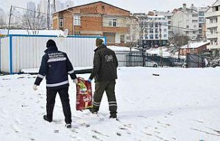 Esenyurt’ta sokak hayvanları için mama ve su takviyesi
