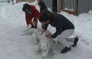 Eşinin yaptığı kardan adamı beğenmedi, ortaya...