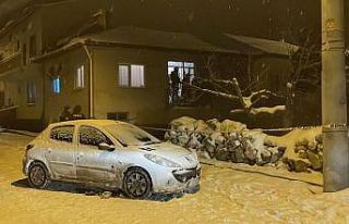 Evinde boğazı kesilerek öldürülen kadın cinayetinde...
