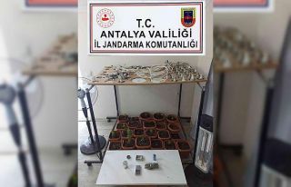 Evinde uyuşturucu madde yetiştirip satan şahsa...