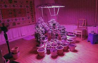 Evini uyuşturucu imalathanesine çevirmiş