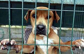 Fethiye Belediyesi’nden örnek uygulama