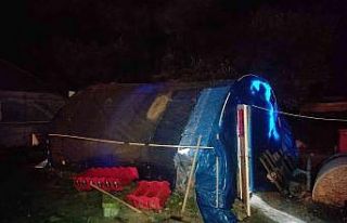 Fethiye’de horoz dövüşü operasyonu: 8 kişi...