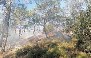 Fethiye’de orman yangınının yayılmasına jandarma...