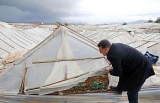 Fırtına, Alanya’da seraları yerle bir etti