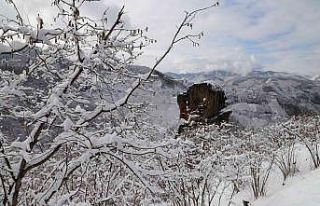 FİSKOBİRLİK’ten fındık üreticilerine zirai...