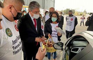 Fıstık gibi tanıtım