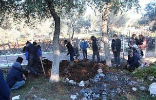 Gamze’nin cenazesi toprağa verildi