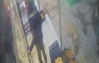 Gaziantep’te dehşet saçan pitbull güvenlik kamerasında