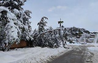 Gaziantep’te kardan çatılar çöktü, ağaçlar...