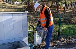 Gediz’de sokak hayvanları unutulmadı
