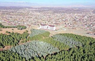 Gençlik Kampı projesinde inşaat çalışmaları...