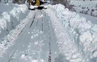 Gercüş’te köylerdeki hastaların imdadına Özel...