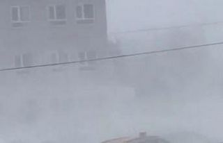 Gevaş’ta fırtına hayatı olumsuz etkiledi