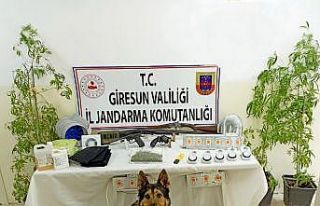 Giresun’da uyuşturucu operasyonu