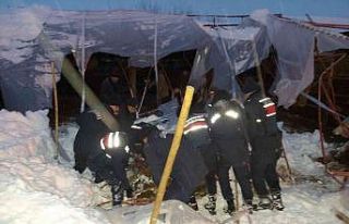 Göçük altında kalan 3 büyükbaş hayvan kurtarıldı