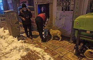Gölbaşı itfaiyesi sokak hayvanlarını unutmadı