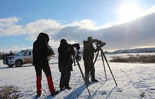 Göller yöresindeki su kuşları bir bir sayılıyor