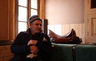Göz bebeği yeşil kedi dikkat çekiyor