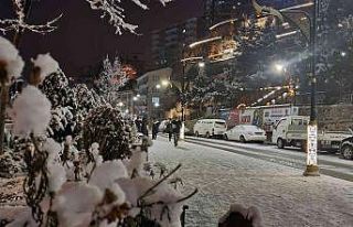 Gümüşhane kar yağışının ardından panayır...