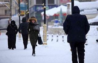Gümüşhane’de yoğun kar yağışı etkili oldu