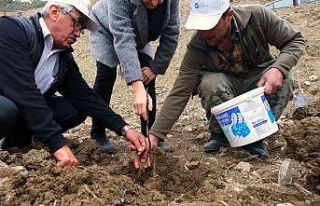 Gündoğmuş’a ceviz fidanı ve hamur makinesi yardımı