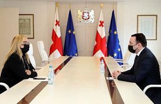 Gürcistan Başbakanı Garibaşvili, Büyükelçi...