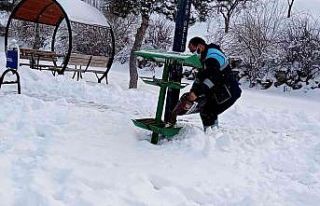 Hacılar’da sokak hayvanları unutulmuyor