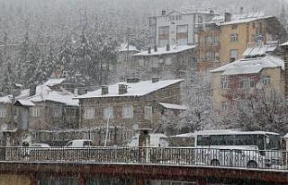Hadim’de kar yağışı etkili oluyor