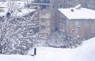 Hakkari’de 155 yerleşim yeri yolu ulaşıma kapandı
