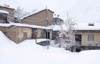 Hakkari’de 346 yerleşim yerinin yolu ulaşıma...
