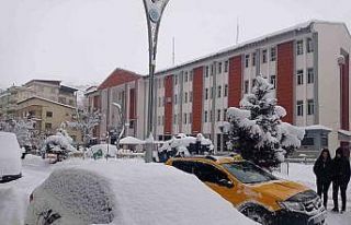 Hakkari’de 82 yerleşim yerinin yolu ulaşıma kapandı