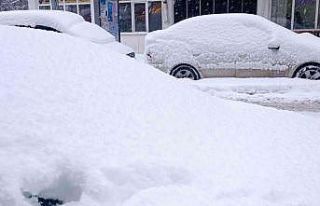 Hakkari’de 95 yerleşim yerinin yolu kapandı
