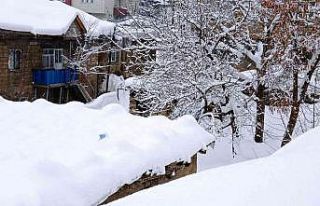 Hakkari’de 97 yerleşim yeri yolu ulaşıma kapandı