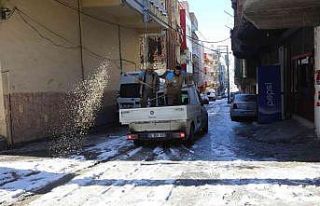 Haliliye’de karla mücadele çalışmaları aralıksız...