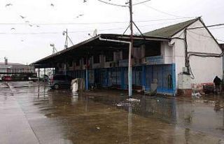 Hamsi bu kez de kara takıldı