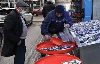 Hamsi geri geldi, balıkçılar neşelendi