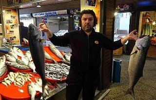 Hamsi yok ama balık halinin kralı çifte kofanalar...