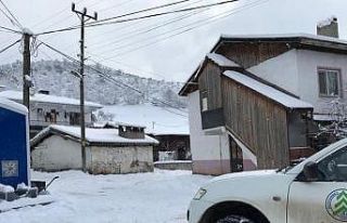 Hasar tespit çalışmaları tamamlandı