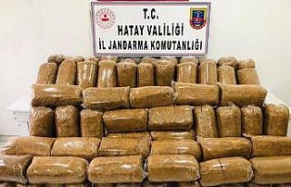 Hatay’da 450 kilo kaçak tütün ele geçirildi
